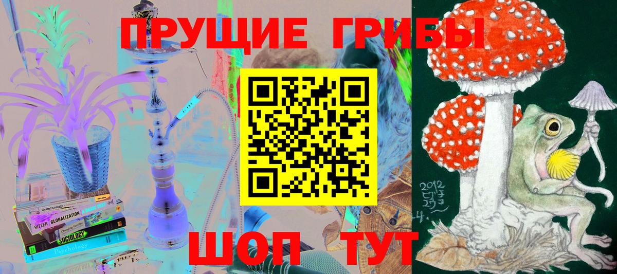 Галлюциногенные грибы GOLDEN TEACHER  купить  цена  Рыбинск  Вход с VPN 